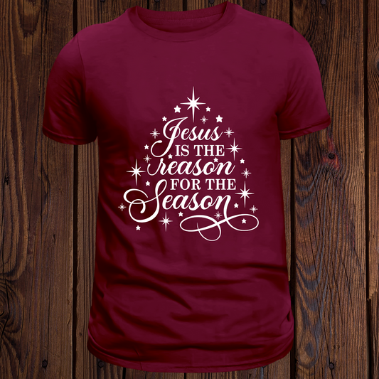 Jesus is the Reason for the Season - Kids